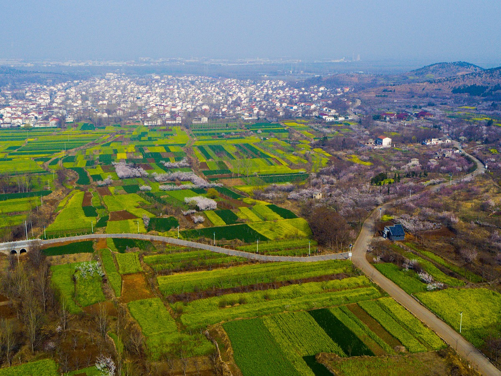 热点引擎计划# 杜集区隶属安徽省淮北市,这里拥有多个自然和人文竟圹
