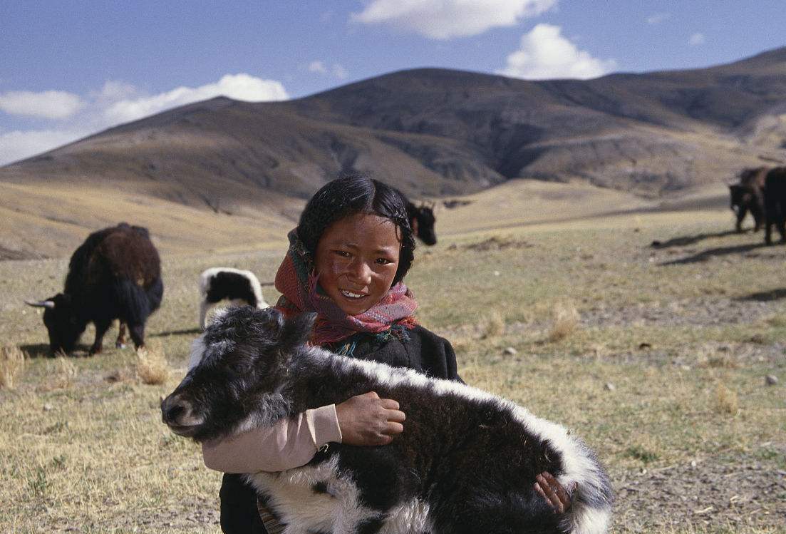 回民不吃猪,满人不食狗,藏族不吃鱼,汉人不吃什么?你了解吗?