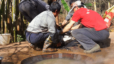 30分钟车程,来昆明城边园子见识下豪放杀猪饭,大口吃肉大碗喝酒