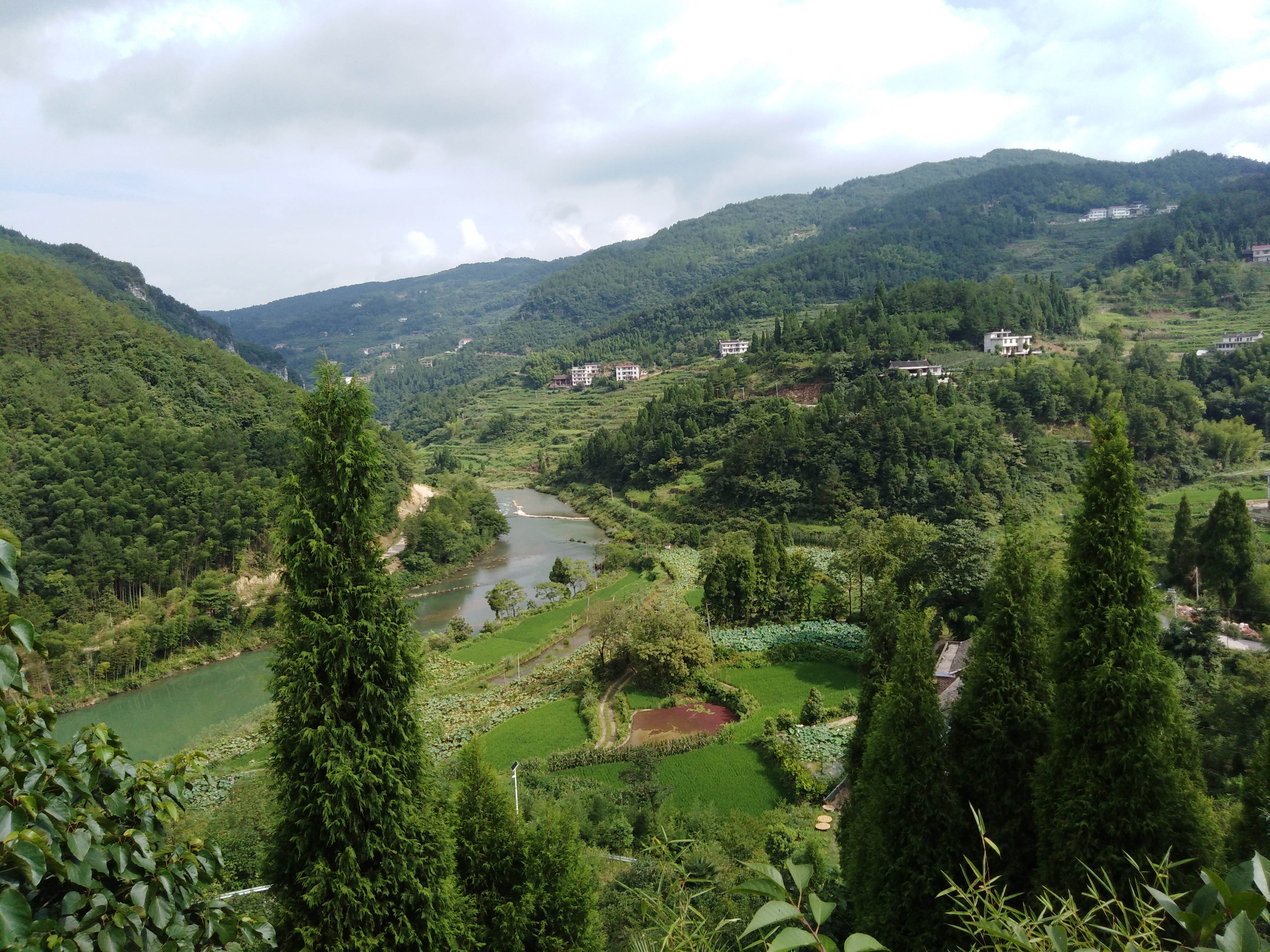 新化县吉庆镇油溪河村荷花基地