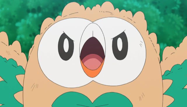 木木枭并非不愿意进化!吞下不变石也是为了小智