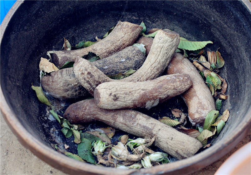 腌萝卜在农村里最常见,也是农村人吃的最多的,洗干净萝卜后直接放到缸