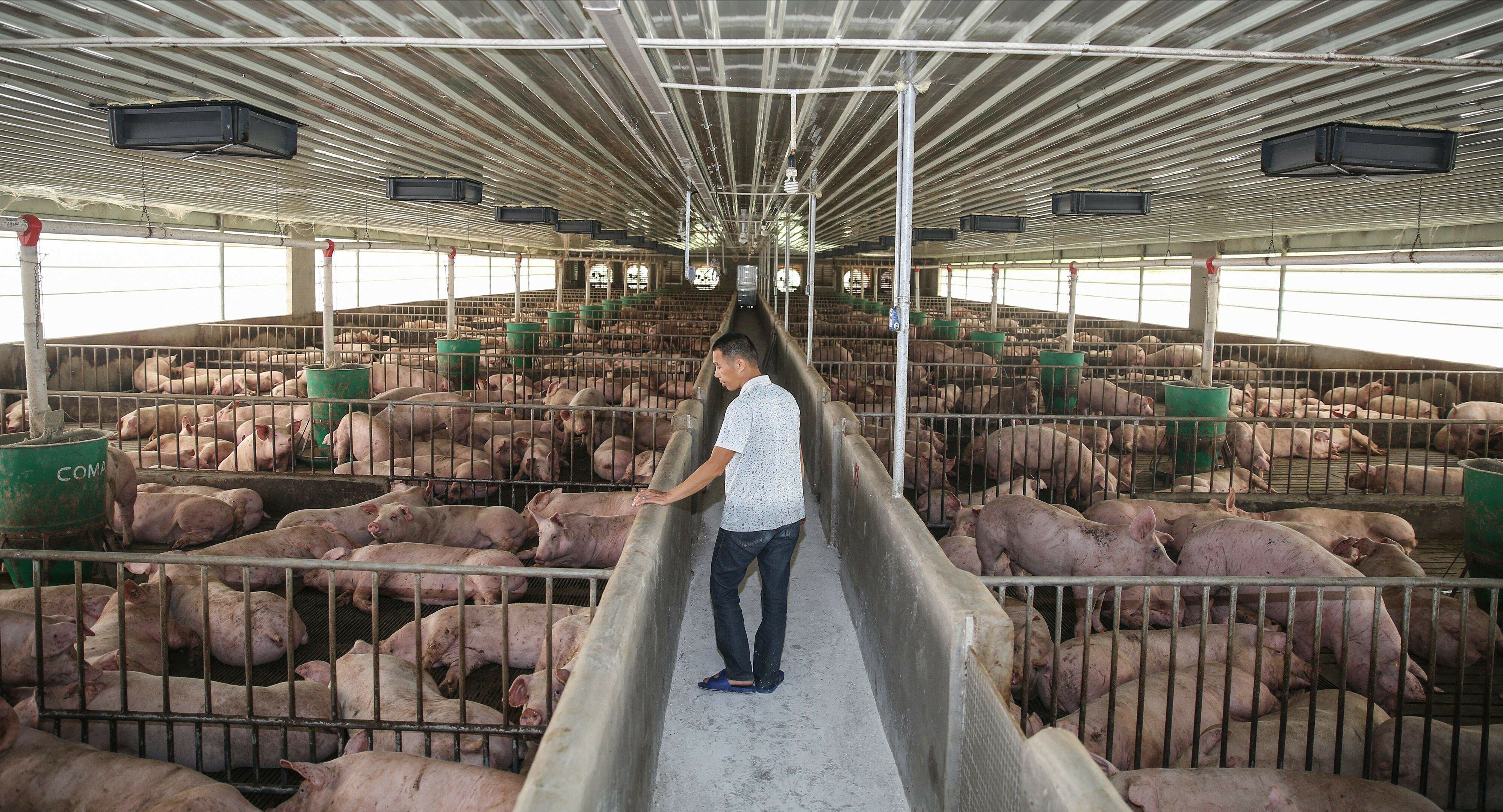 饲料- 热门商品专区