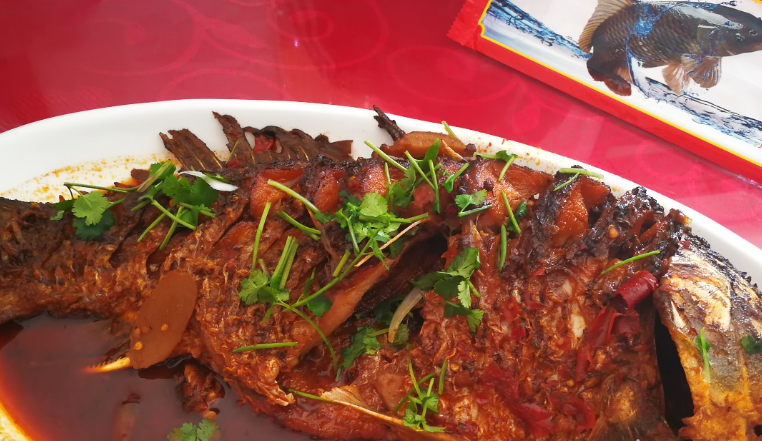 据说山西黄河壶口段的鲤鱼特点是嘴大鳞少,四根胡须且肉肥味美