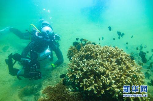 青島:3.1萬個海洋天然產物三維結構向全球開放