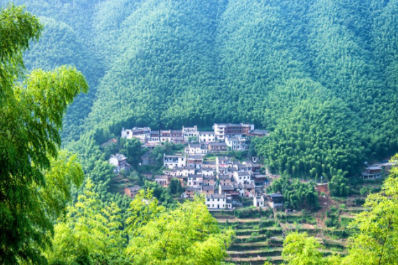 旅游安徽篇:欣赏一组宏村木坑竹海的图片
