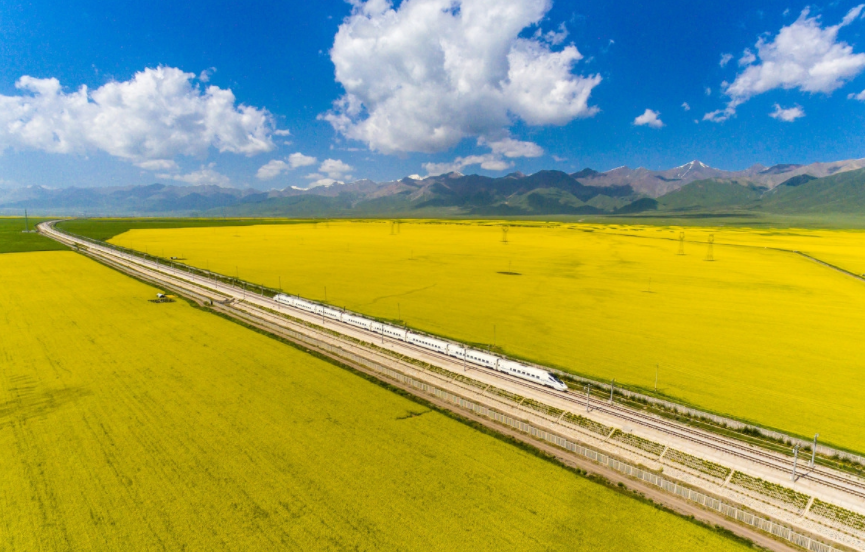 旅游:中国最美的油菜花在青海门源,兰新高铁畅游其中