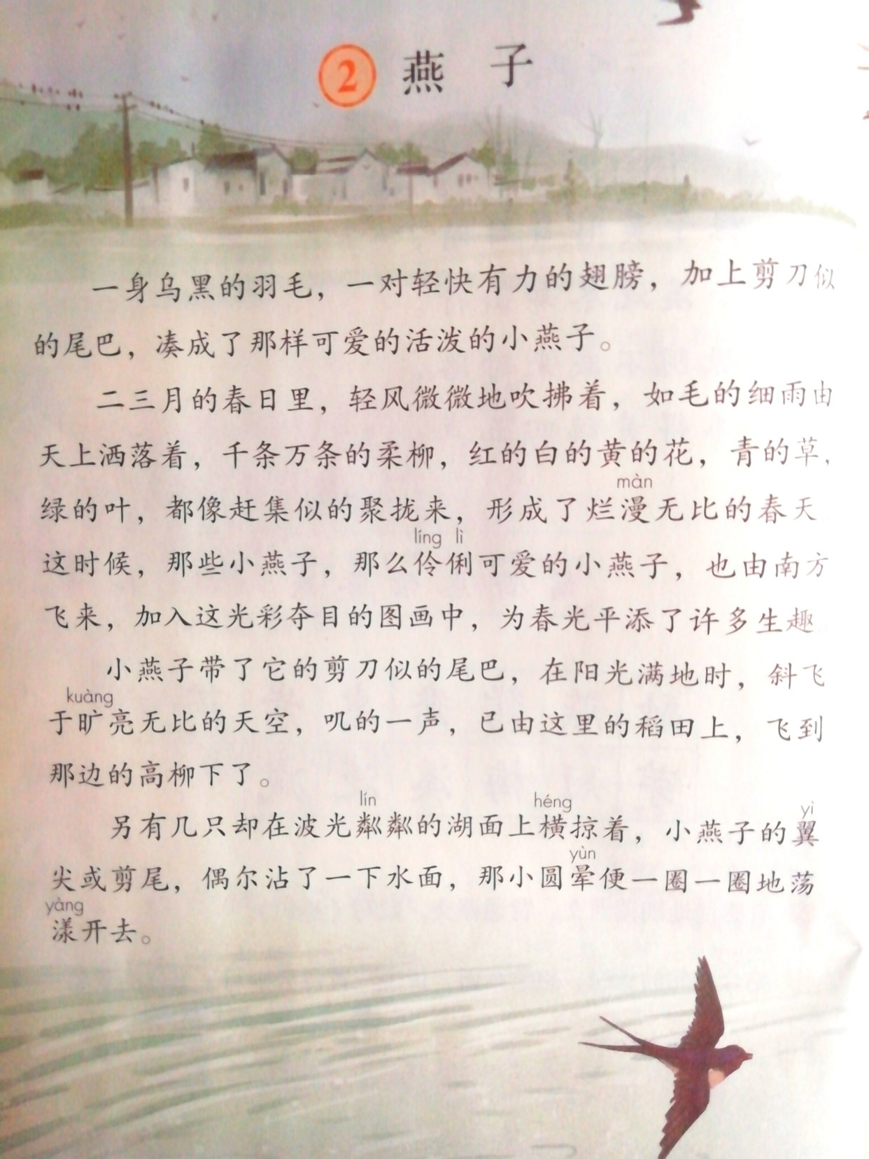 三年级作文素养课,分析课文《燕子》写作方法,学习如何写好作文