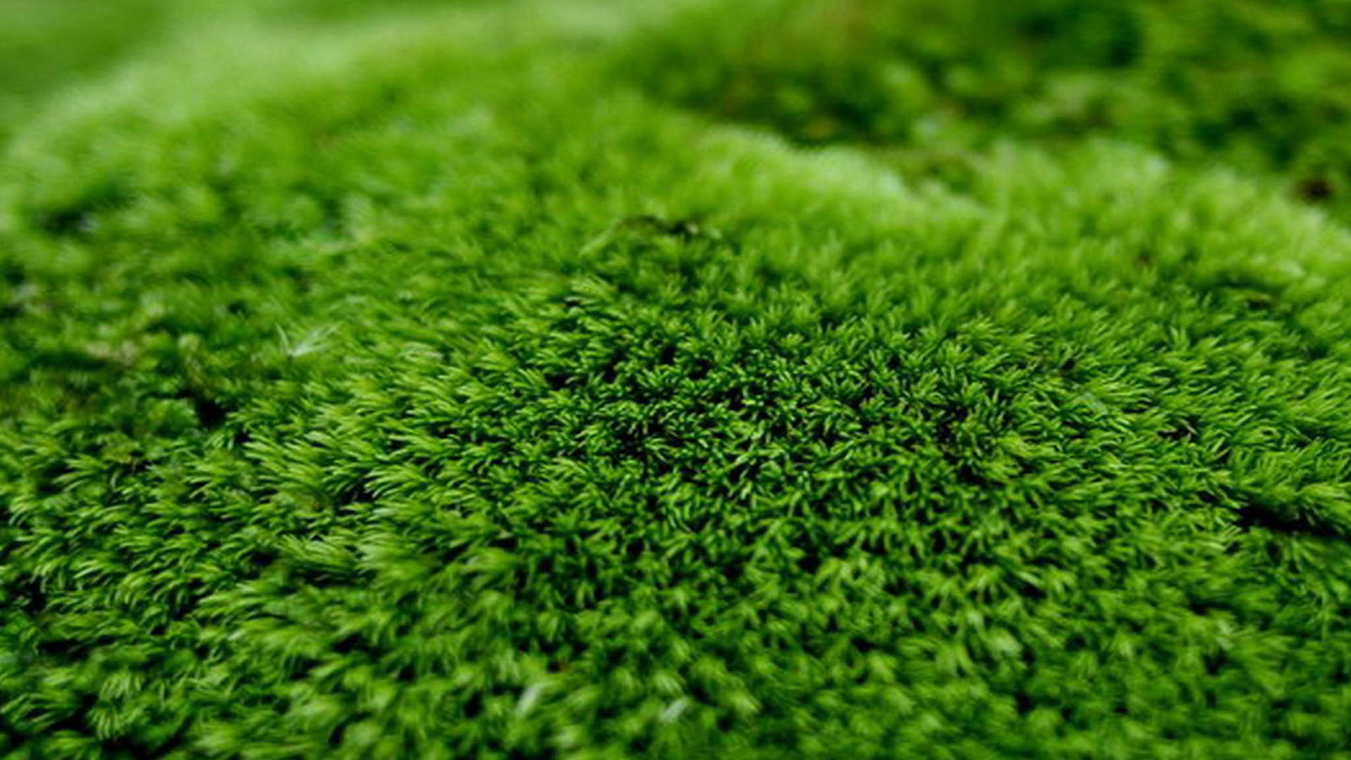 2月18日开始,有贵人鼎力相助,家运昌隆,财运旺上天的3大星座