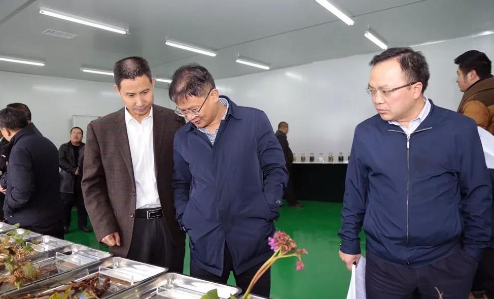 钟山区:王赟,陈松率队调研10万吨中药饮片厂项目建设情况