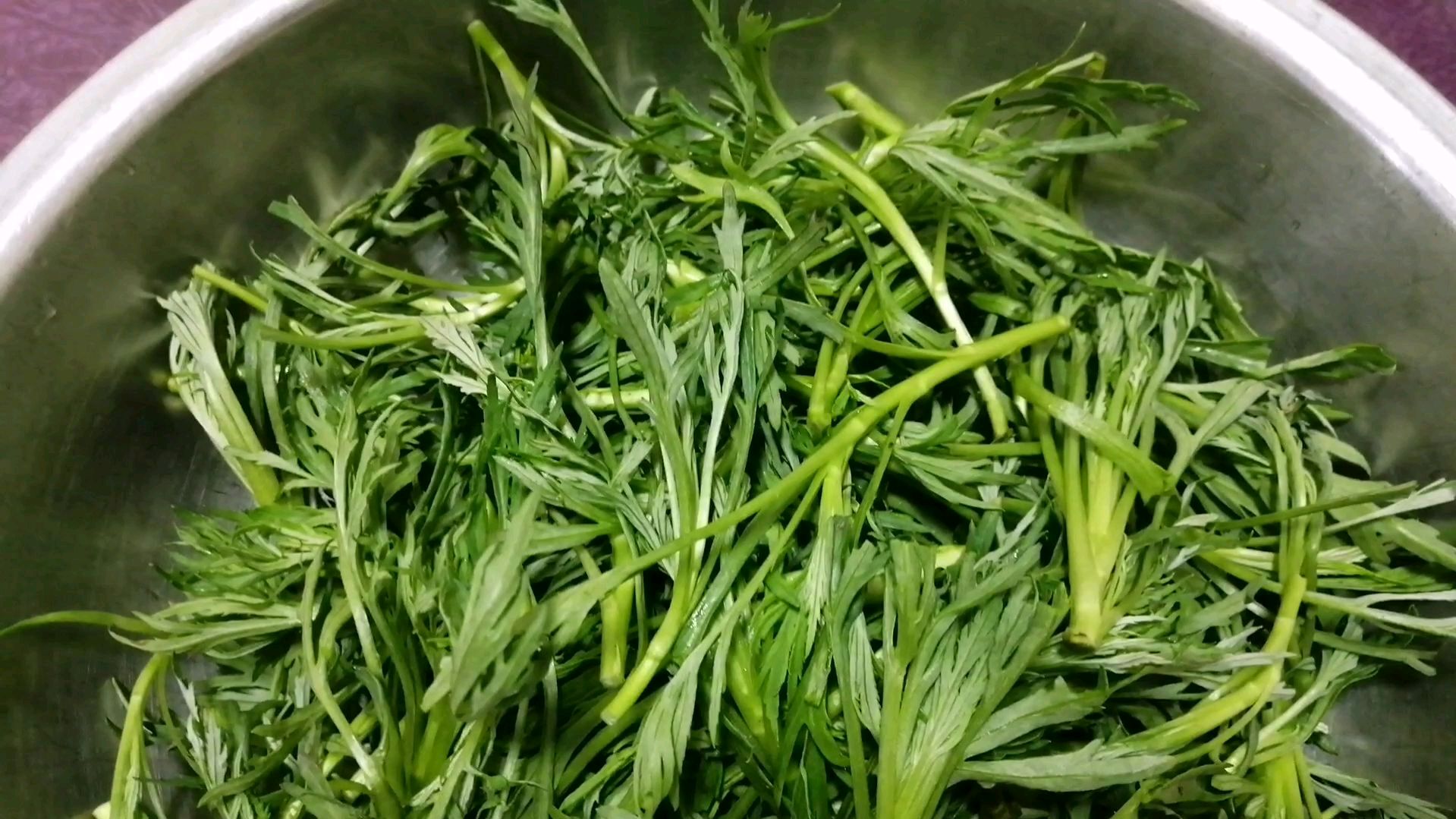 东北新鲜刚下山的山野菜,纯绿色无污染,做出来味道真鲜