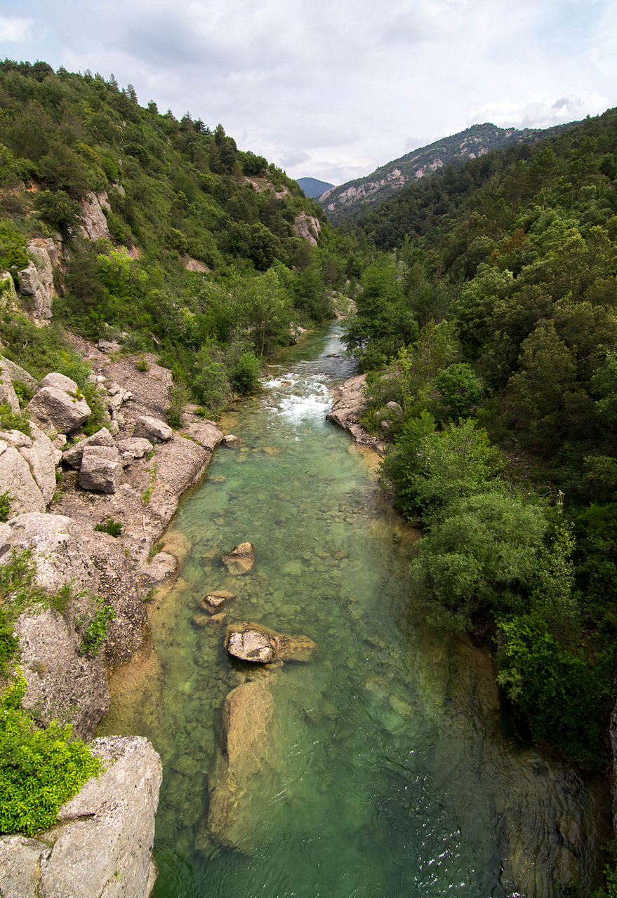 镜头里的春天# #镜头里的春日# 9992【白河峡谷:北京市密云区的
