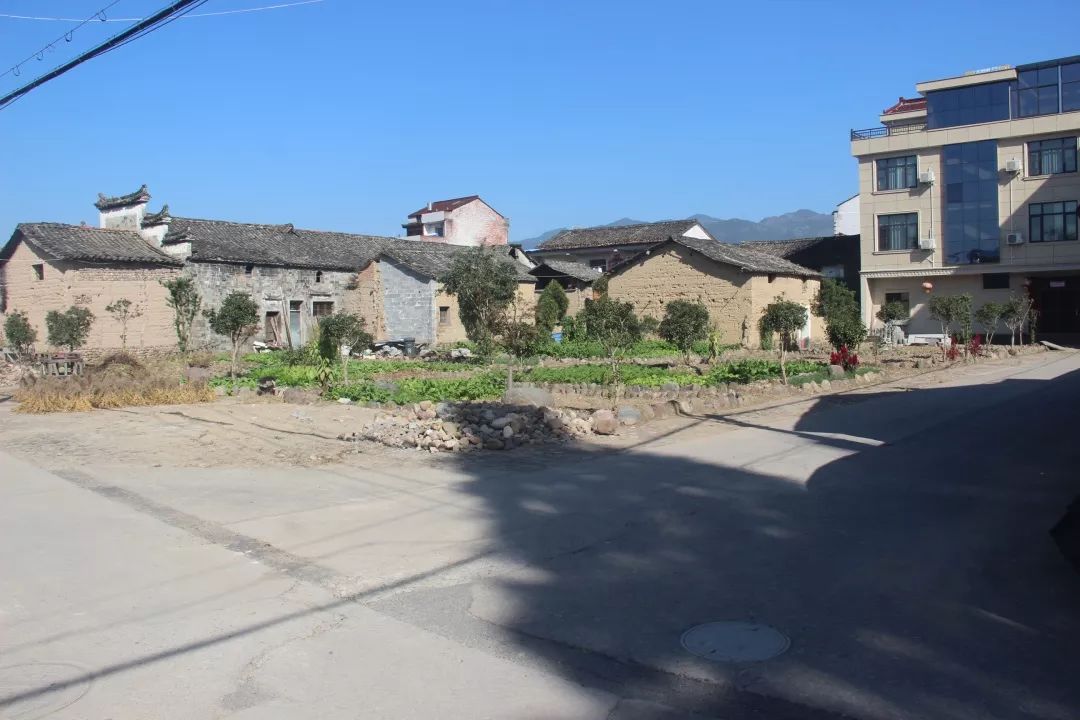 埠头镇的别人家的庭院~放出来接受大家羡慕的眼神!