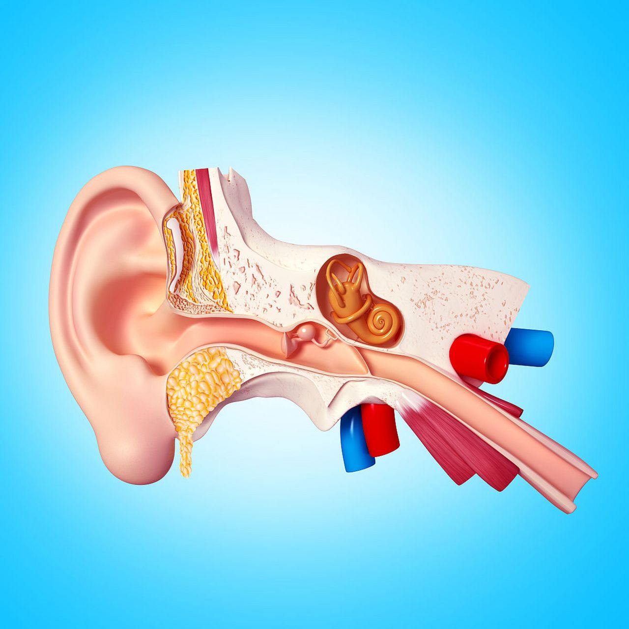 如果你经常眩晕,符合以下3个特征,可能就是耳石症.