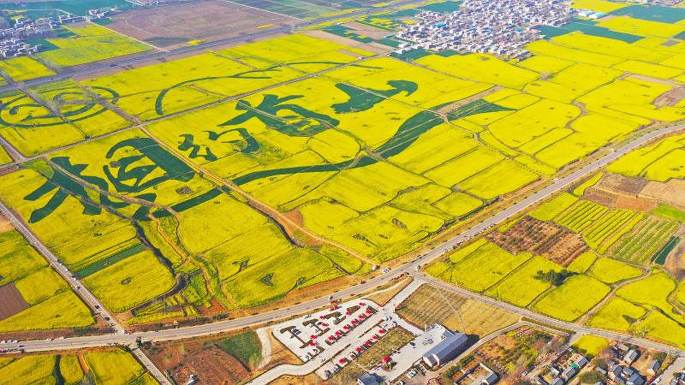 阳春三月,和风习习,襄城县首山一望无际的油菜花竞相盛开,芳香四溢.