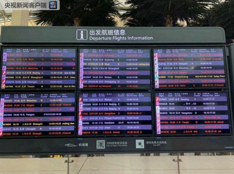 包含广州白云机场航班大面积取消的词条