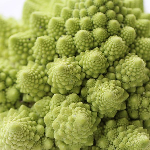 农村看似普通的"野草", 对结肠癌,食管癌,肝癌有很好的功效