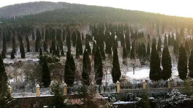 [图]青岛2020年的第一场雪 快让我在这雪地上撒点野 下雪了 下雪了！