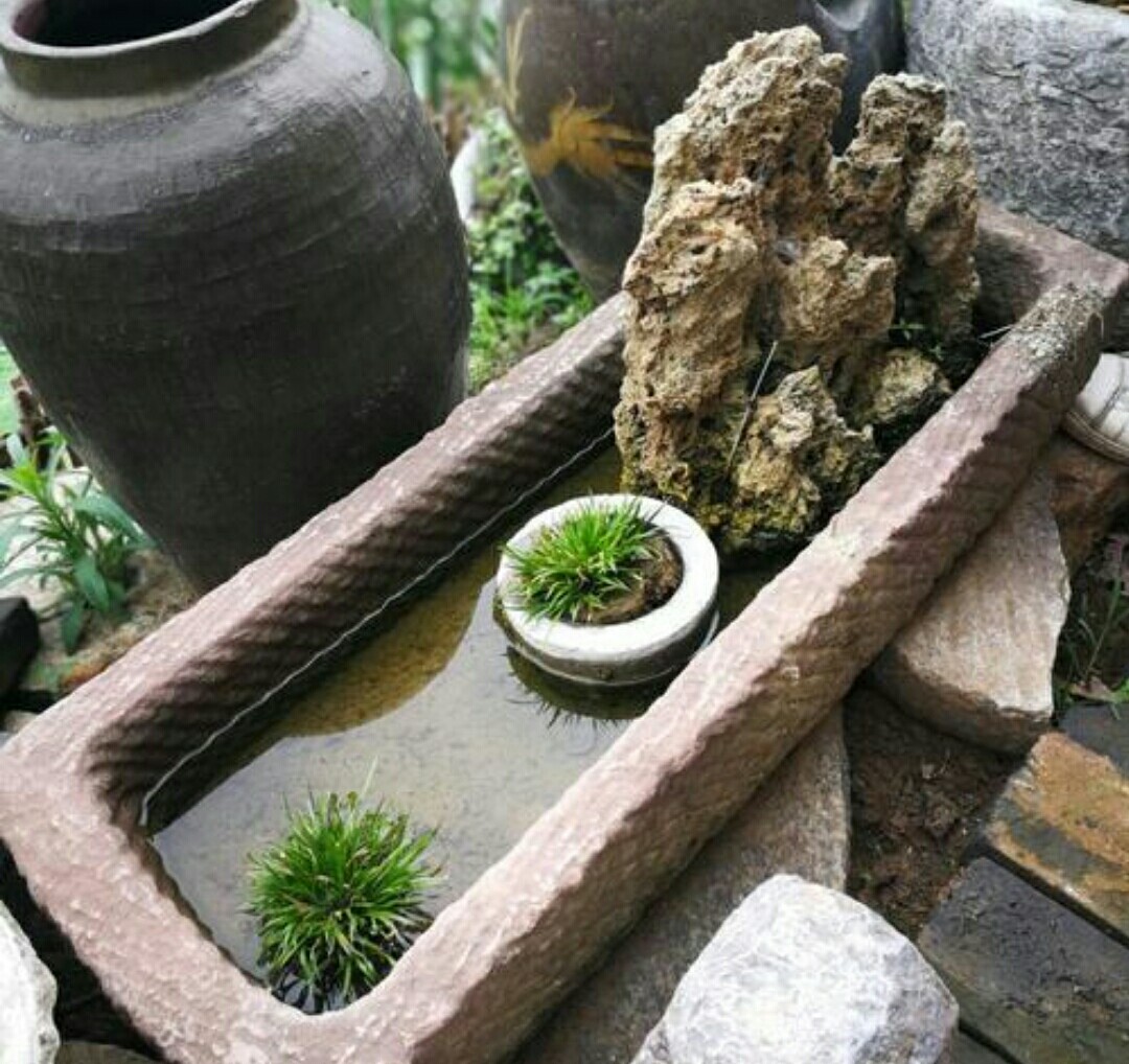 农村闲置的旧石槽,用来养花别有趣味