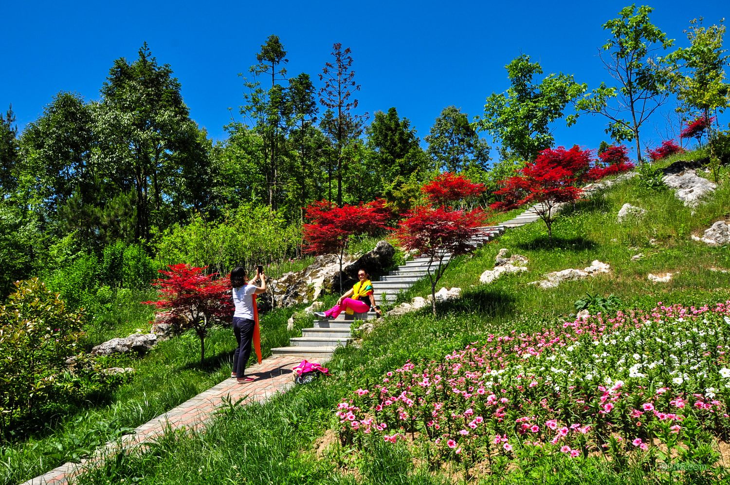 城口九重花岭图片