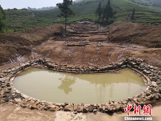 明朝阁老徐阶之墓勘测结束 墓址旁水塘为"泮池"