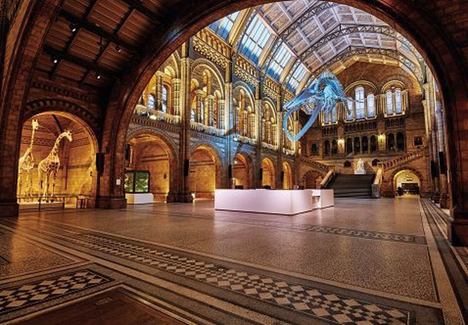 万物皆可云##云游全世界#法国国家自然历史博物馆标本馆:法国国家