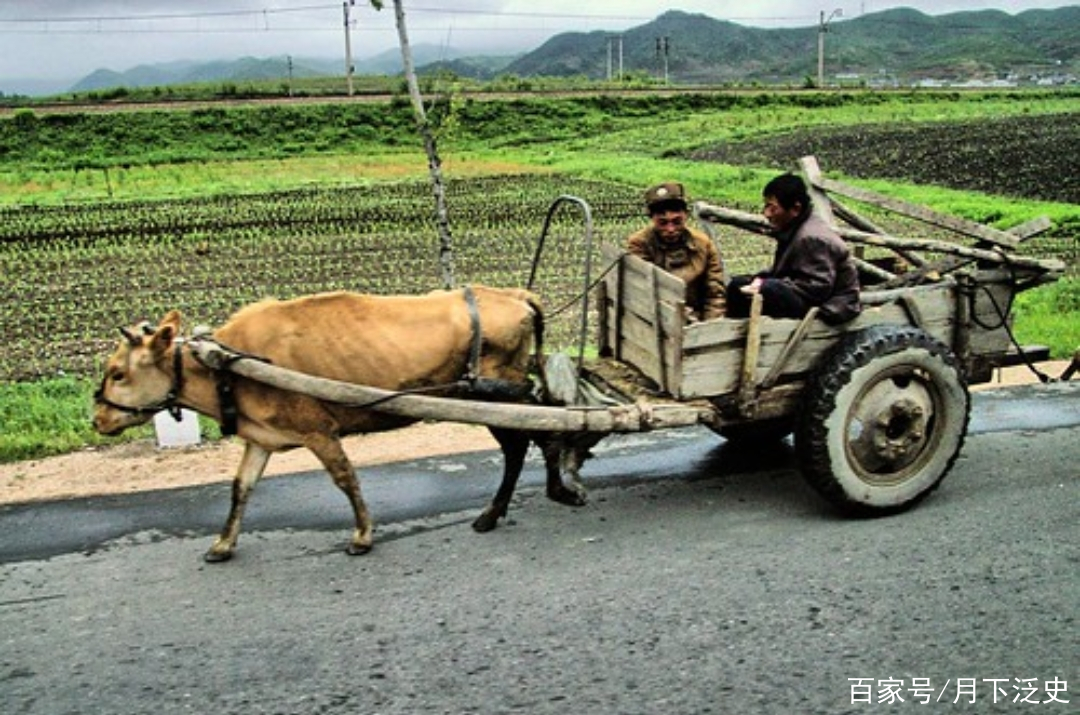 朝鮮農民拉貨日常:一頭牛一輛板車,車輪五花八門