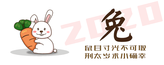 2020年生肖兔运势提前播报,不同年份兔详解