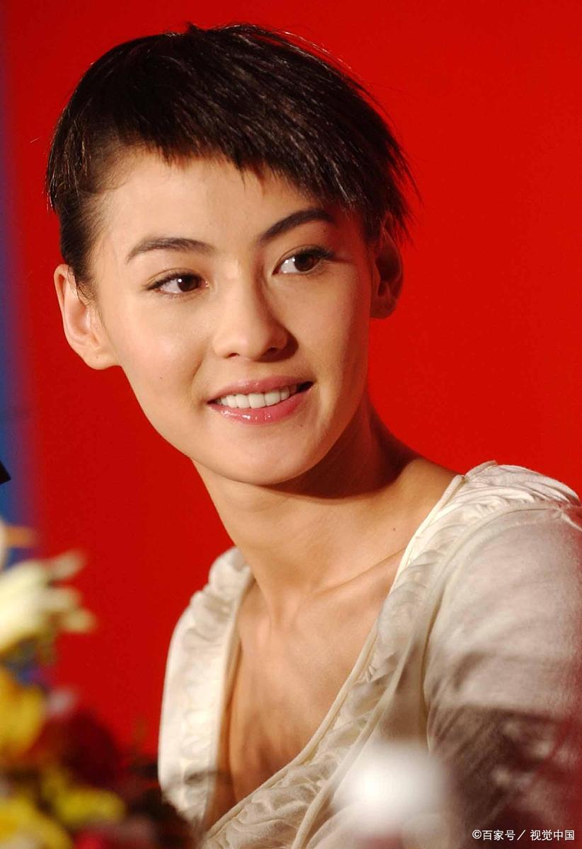 张柏芝 经典作品盘点回顾和解说