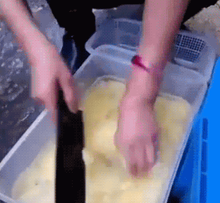 搞笑gif图:开心得像个三百斤的胖子!注意你的手好不好!