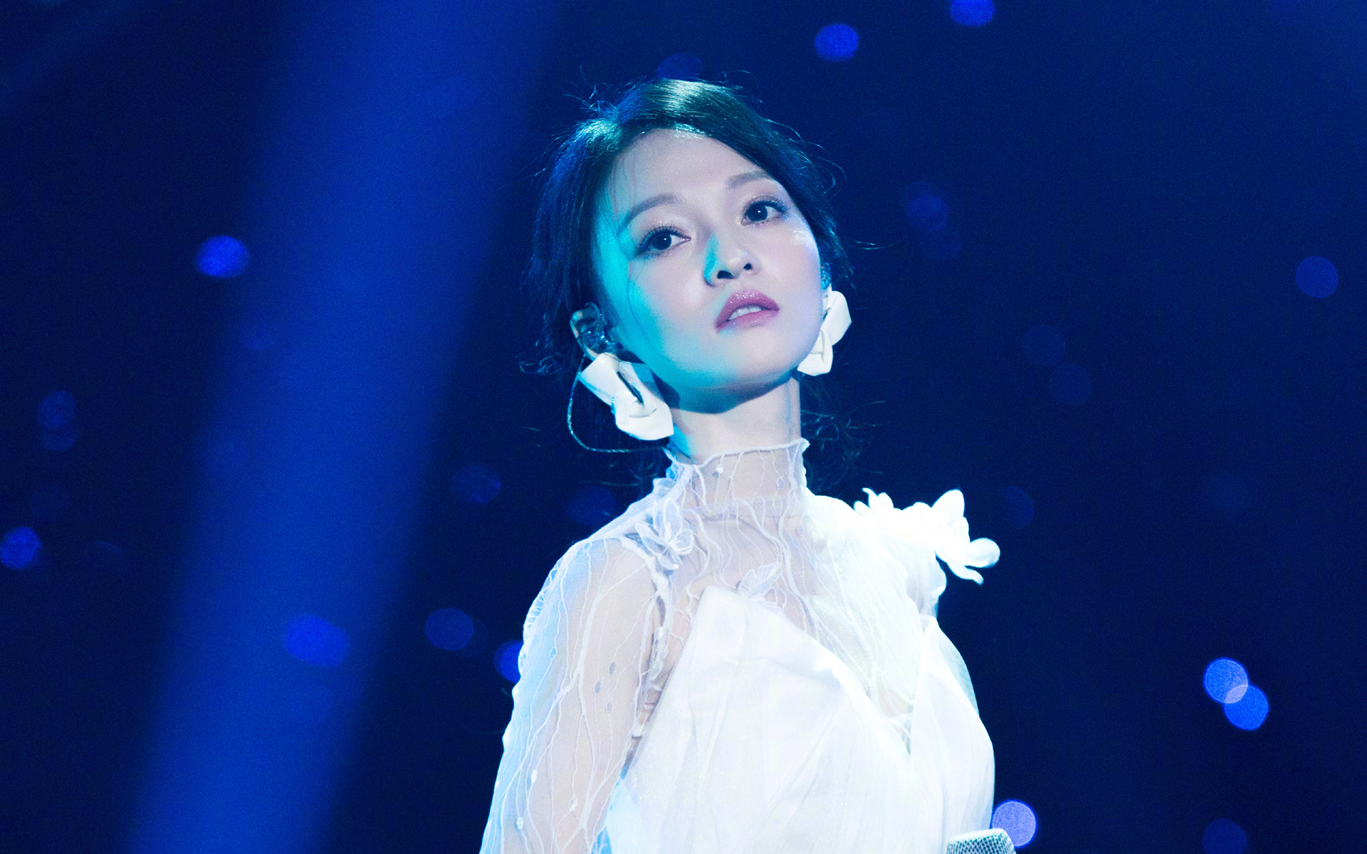 肖战,张韶涵版本faded,燃爆全场,肖战成了背景墙?