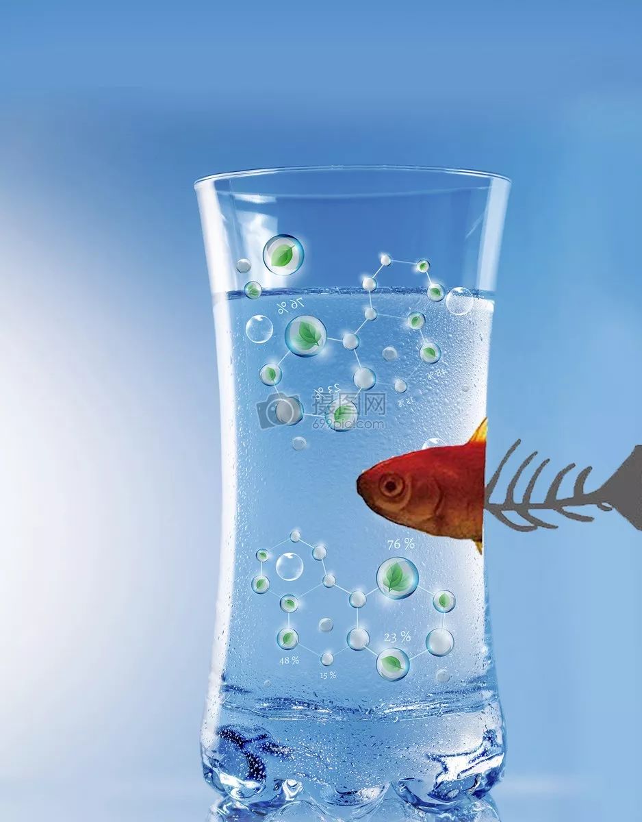 如何透过表象看到本质?