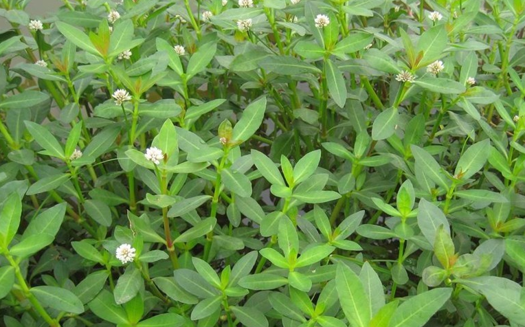 水- 热门商品专区