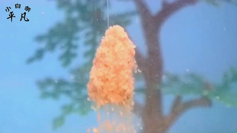 三分钟教你自己做雾化,猫咪早康复,比去医院更