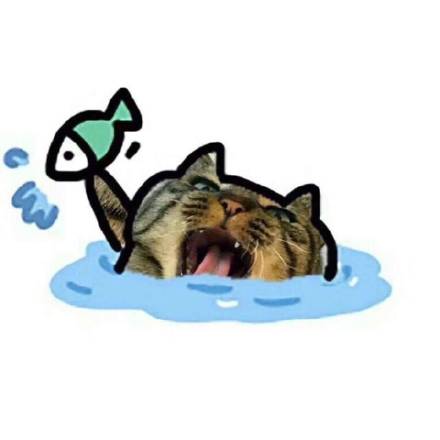 猫咪抓鱼