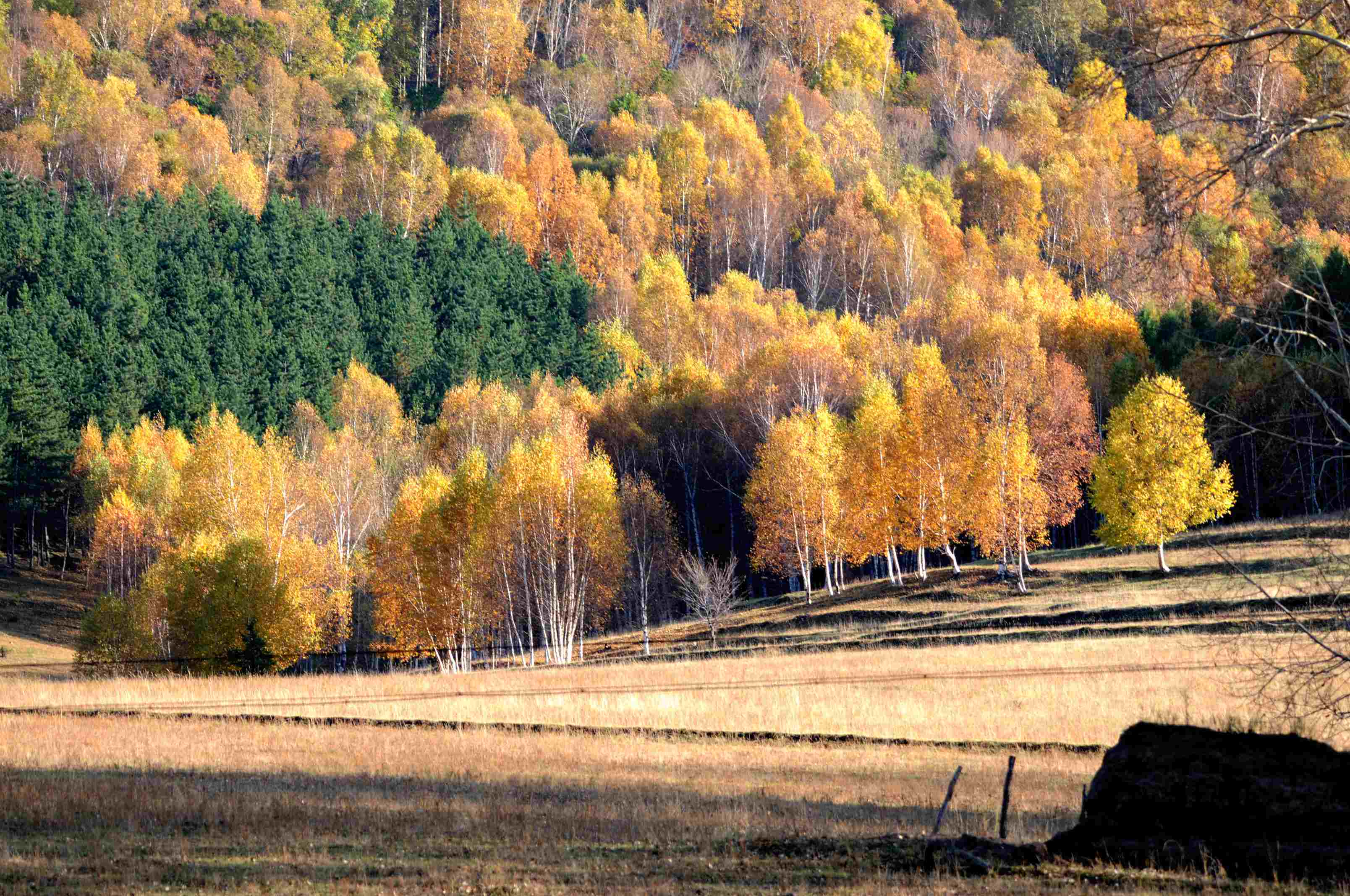 赤峰美林谷一片好风光,气候凉爽,雨量充沛,景色宜人!