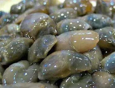 资料图 醉泥螺 其实这种美食是生食的,洗干净后用盐腌制半个月左右,没