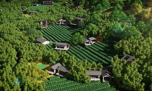 项乐民亮相国新办记者见面会谈乡村振兴 他都说了啥