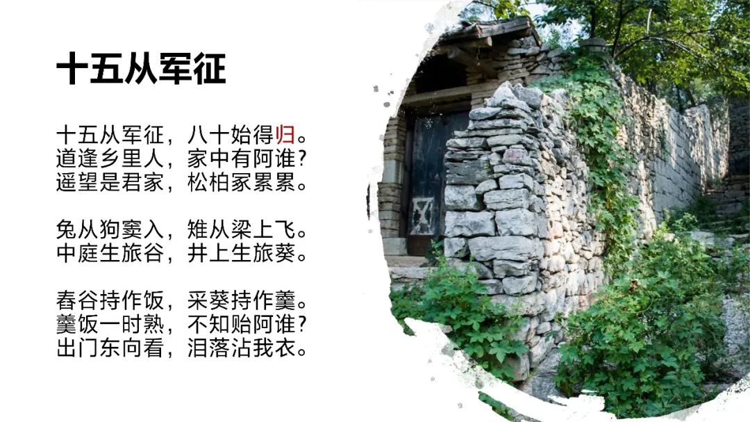 晨诵 | 十五从军征