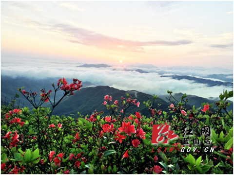 蓝山有什么好玩的景点图片