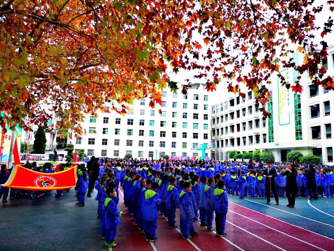梦想,从这里起航——记奋进中的甘洛县城关小学