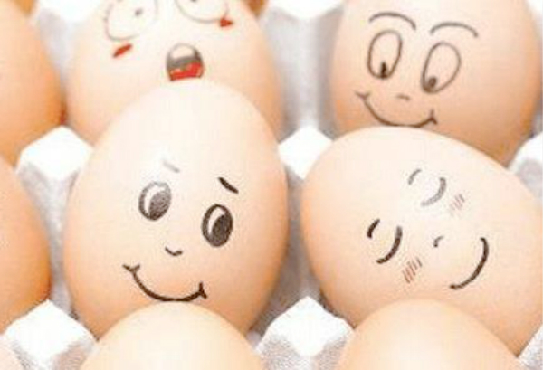 猫咪能吃鸡蛋吗?答案让很多人不淡定!