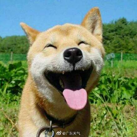 不冷不热刚刚好