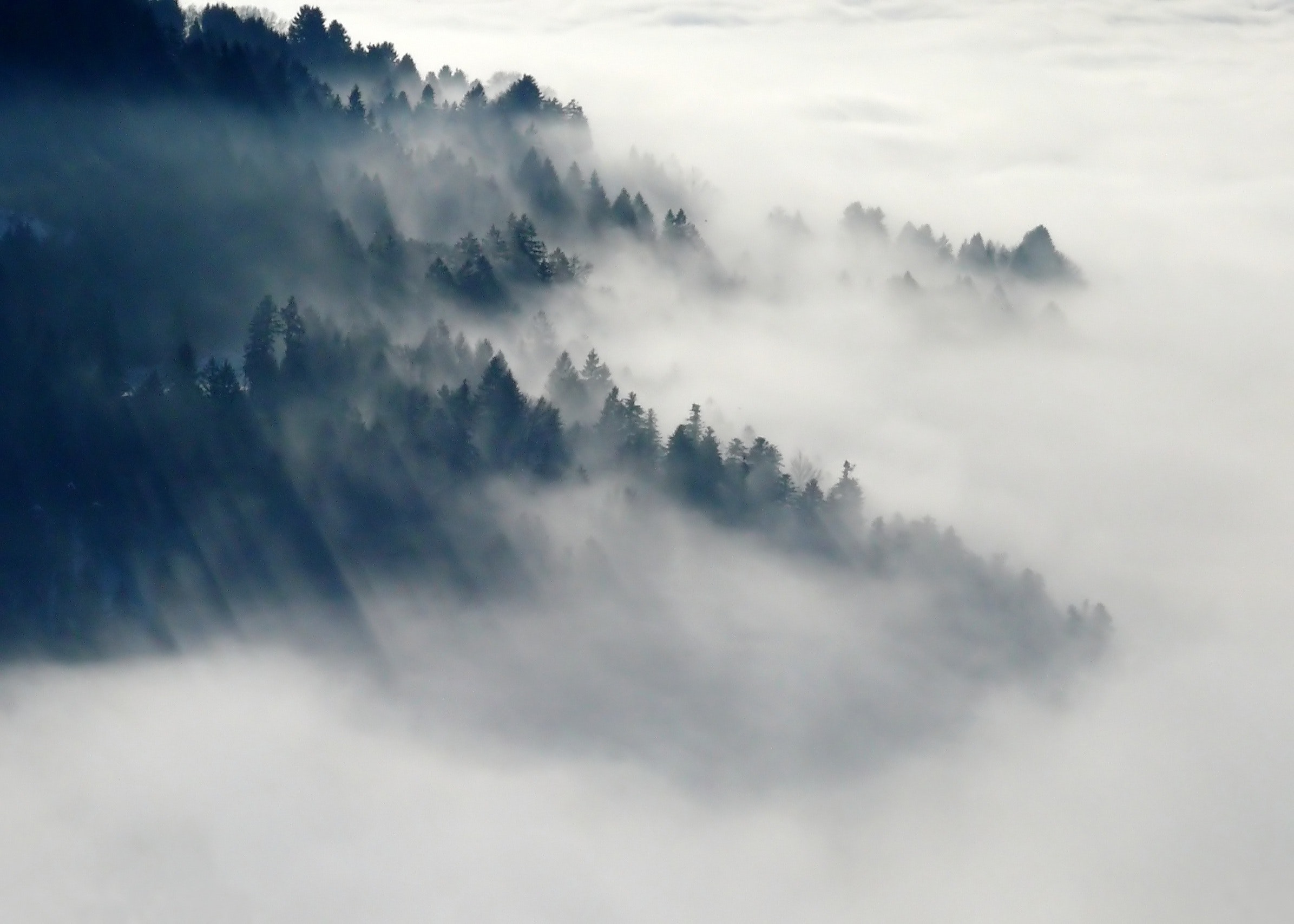 迷雾,晨曦,朦胧美 非常有意境的晨雾景象 超清电脑
