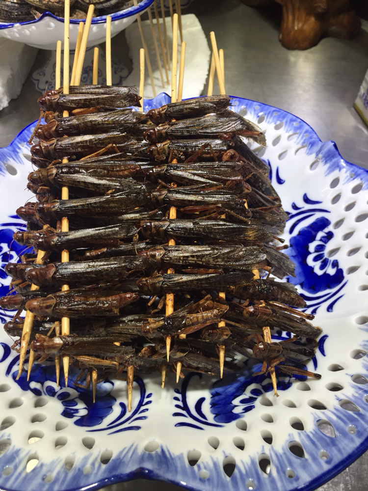 深圳东门町美食街看到虫子宴,你要尝吗