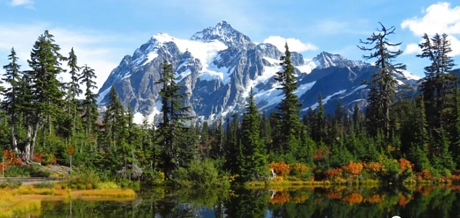 没有国家补贴,没有新家电下乡,企业别再拿刺激政策忽悠商家了!-家电圈官网