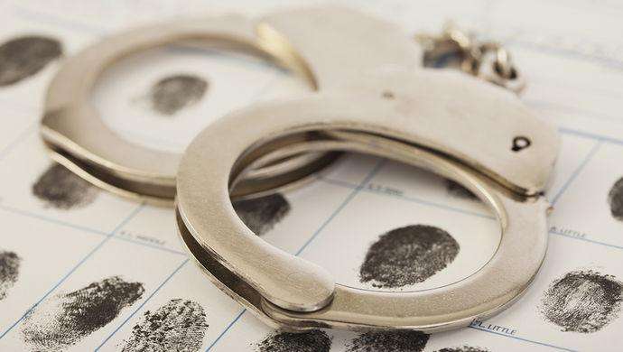 "百名红通人员"莫佩芬回国投案