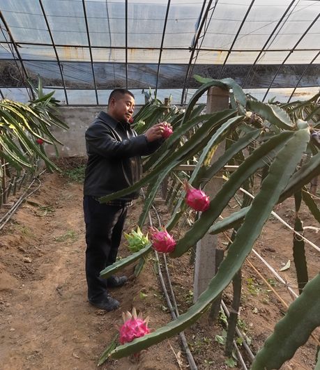 科技铺就致富路|记2019年西安市创业明星吉根林