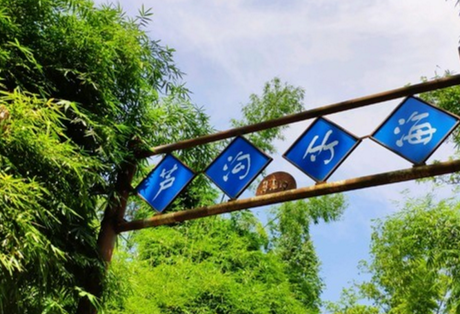 旅游:芦沟竹海——享有"二十华里绿色长廊,天然氧吧"的美誉