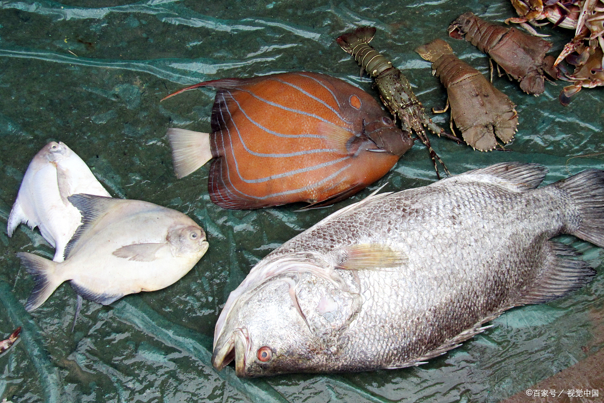 但大理双廊的美食,更是一绝